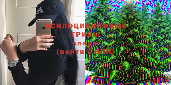 mdpv Баксан