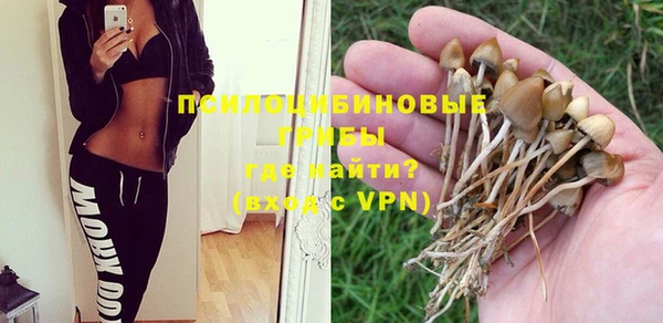 прущие крисы Балахна