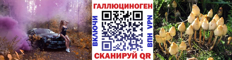 Галлюциногенные грибы Psilocybine cubensis Купить где Туринск